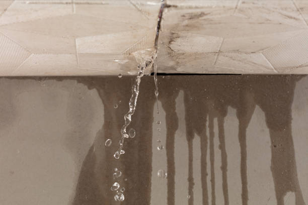 Professional Burst Pipe Cleanup technician working in Brinklow, MD